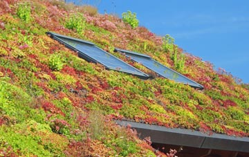 West Hynish living roof systems