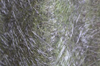 West Hynish fibreglass roof work